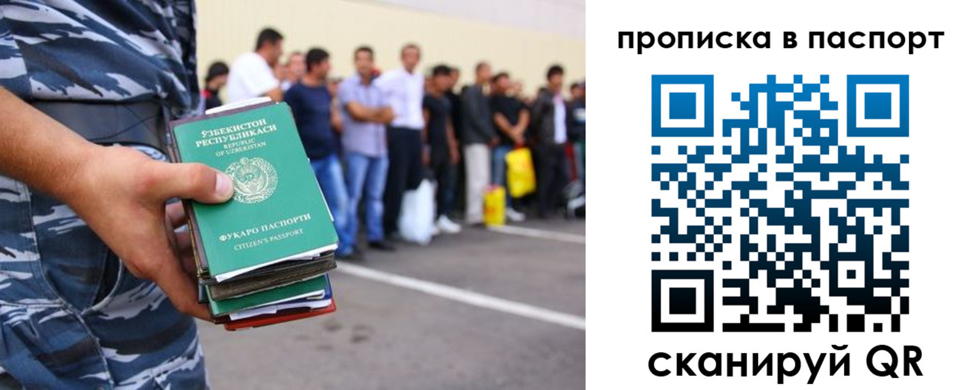 прописка в квартире в Мытищах